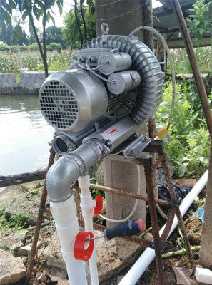 萊諾分析國內(nèi)外魚塘增氧高壓風(fēng)機(jī)的應(yīng)用和特